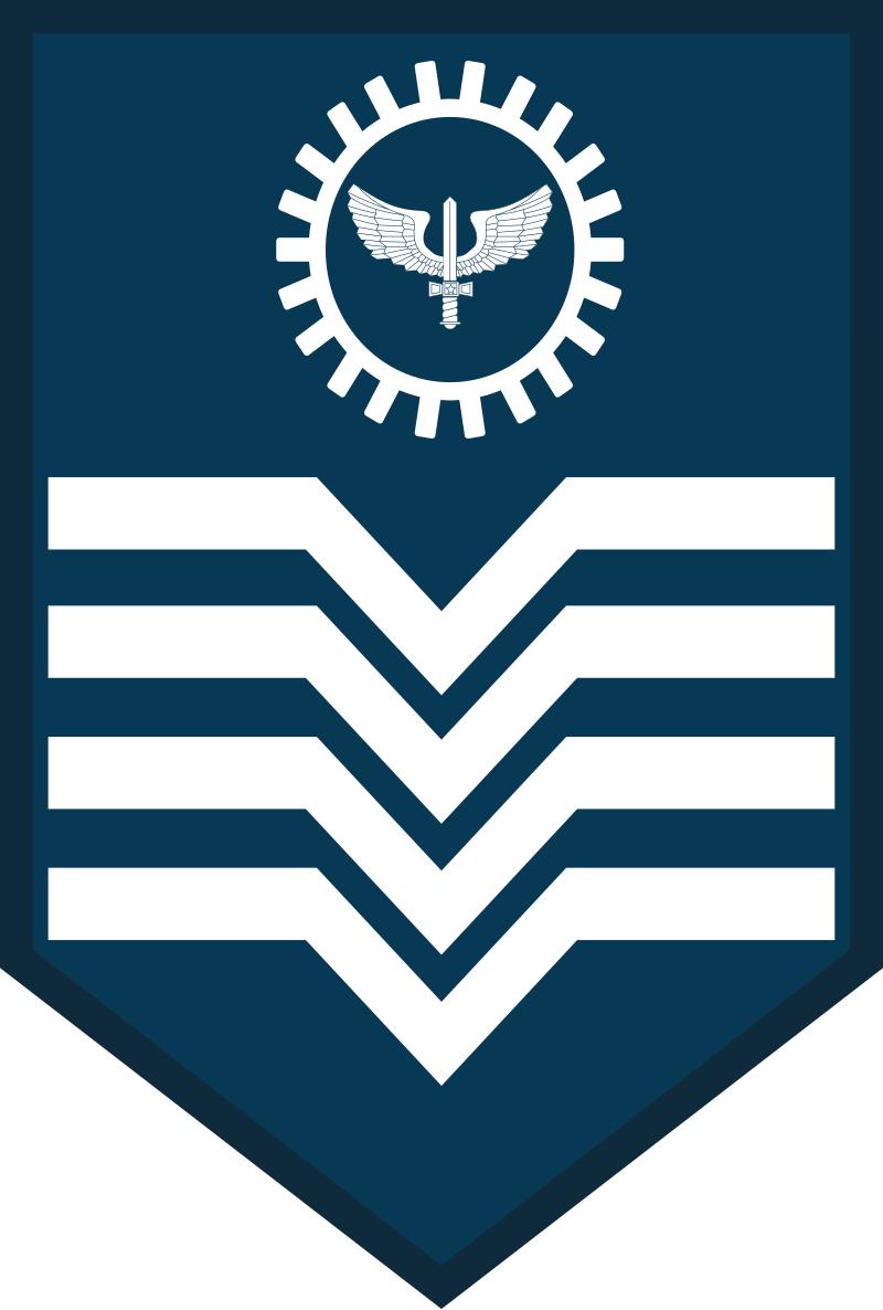 巴西军衔图片,各国军衔标识俄罗斯