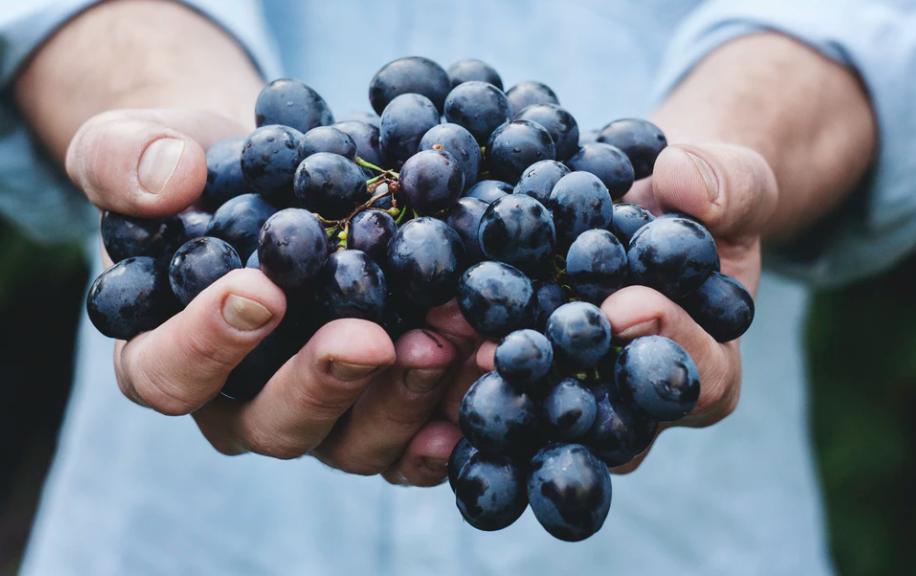开水果店摆放水果图,水果店风幕柜水果摆放