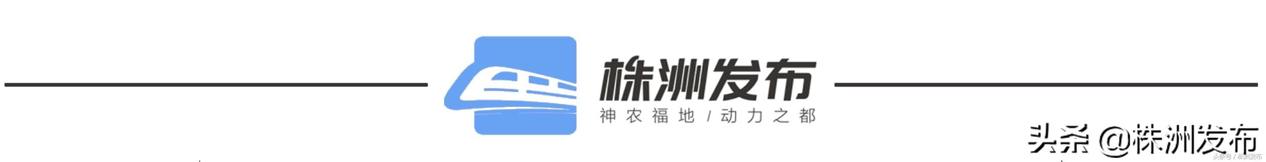 株洲市二中青龙湾小学教学质量,市二中青龙湾小学