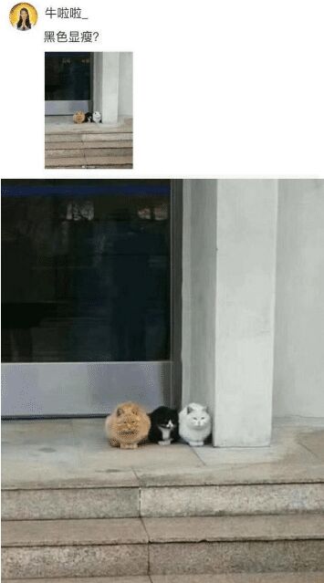 如果女朋友喝醉了你会怎么对我,如果女朋友喝醉了你该怎么做