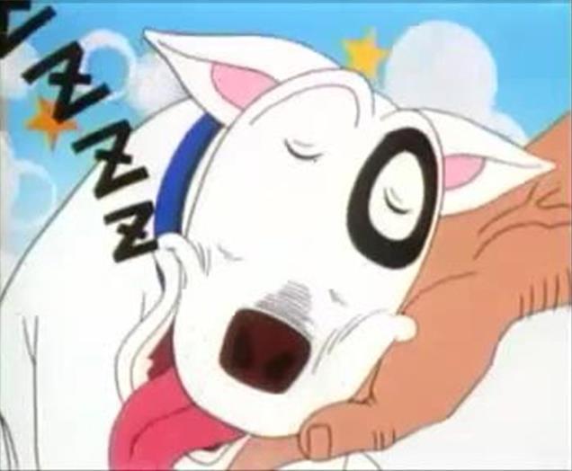 8090中国引进日本动画片,中国引进的日本动画片