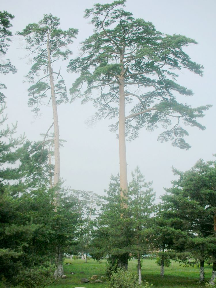 长白山天池两字是谁题写的,长白山天池谁写的