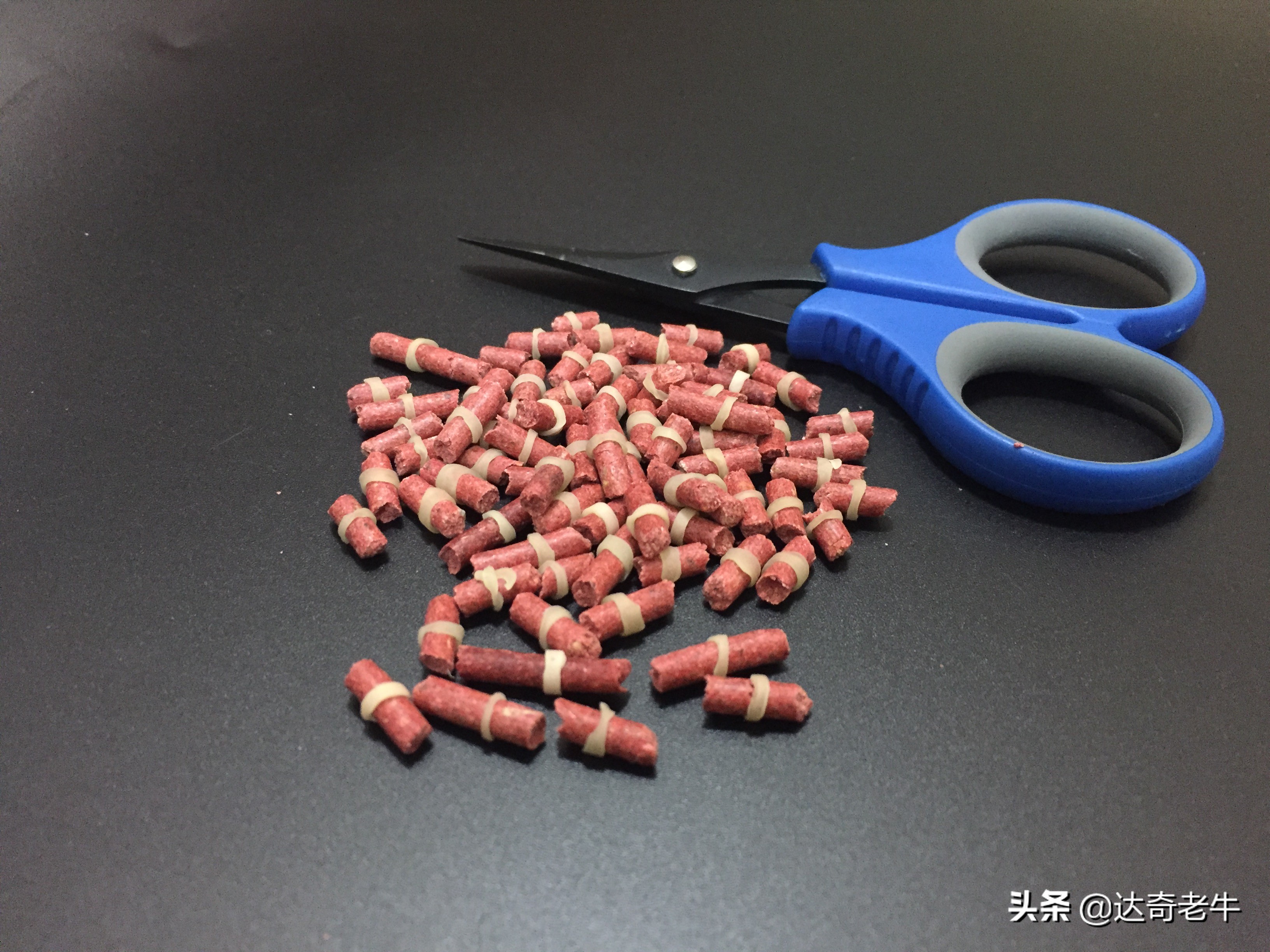 红虫颗粒钓鲤鱼用法,红虫颗粒钓鲫鱼效果怎么样