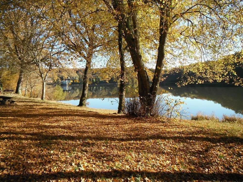 法桶美桶新桶旧桶大桶小桶，3分钟统统弄清楚