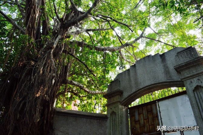 厦门海边之旅,厦门小众旅游体验