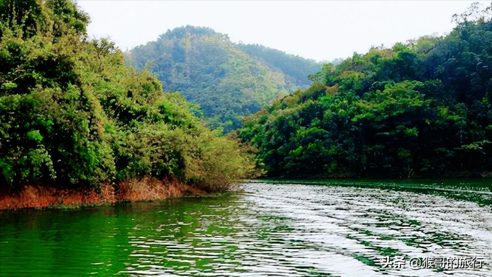 这才是海南最美的乡村,海南桃花源