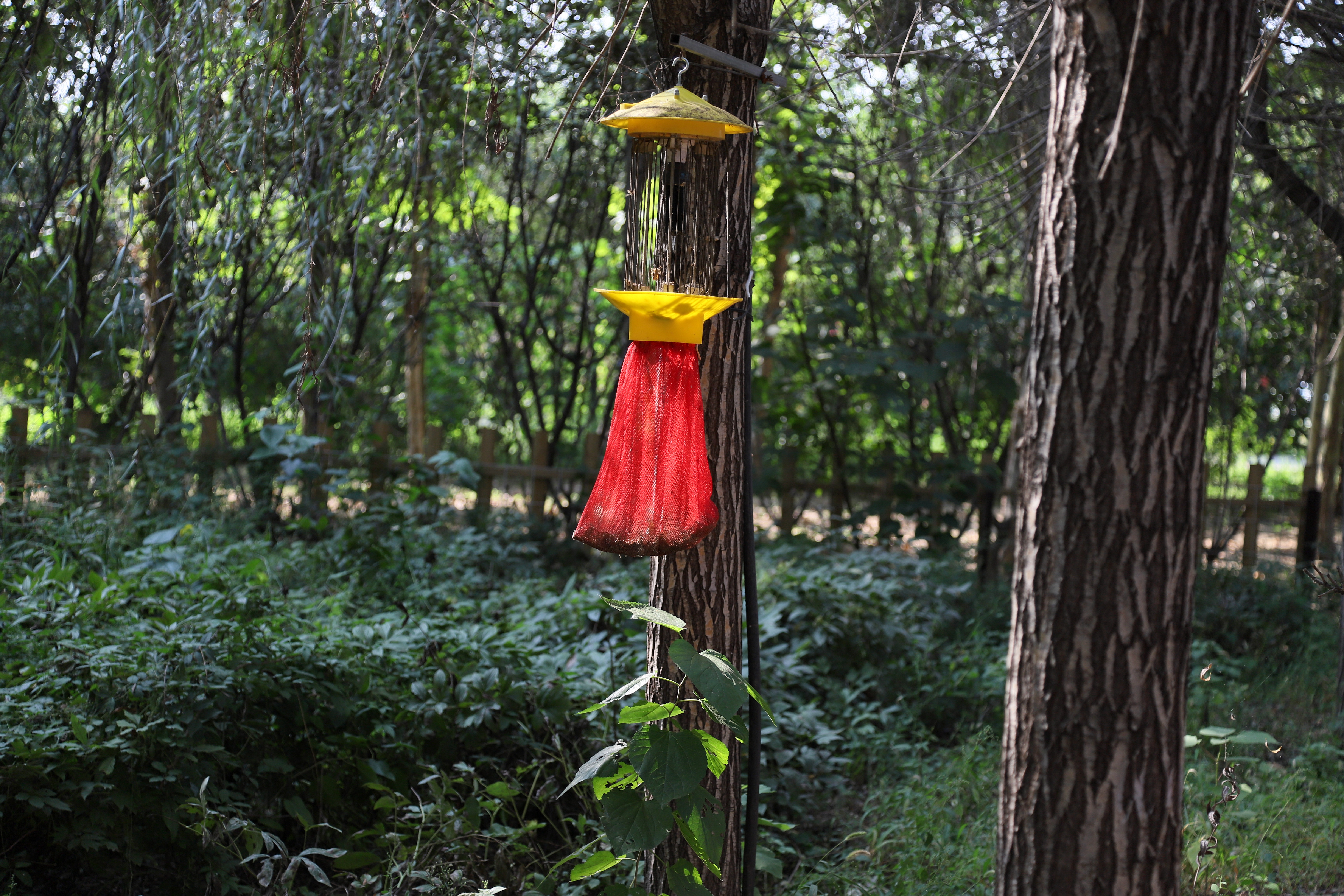 在心灵的栖息地遇见第五季