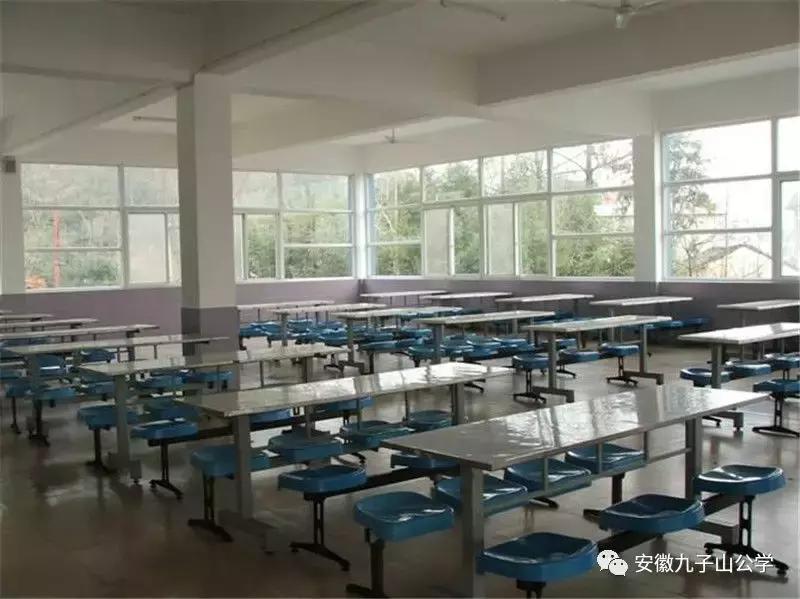 安徽九子山公学青华分校小学,安徽省九子山青华分校