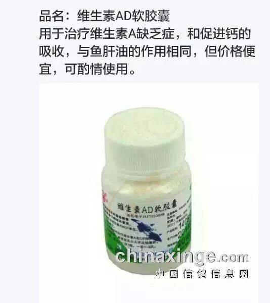 鸽子生病偏方大全,鸽子怎样用药不生病