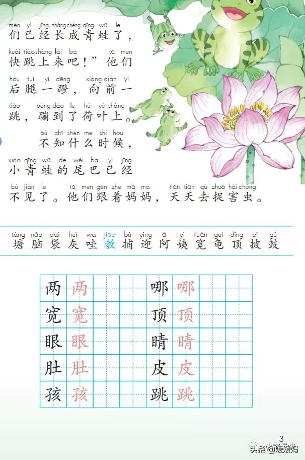 二年级上册小蝌蚪找妈妈听写词语,朗读二年级上册语文小蝌蚪找妈妈