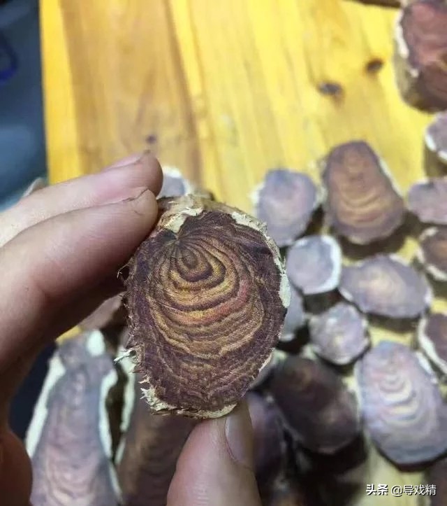 男子山上砍拐杖高价卖,男子花千元买根木头