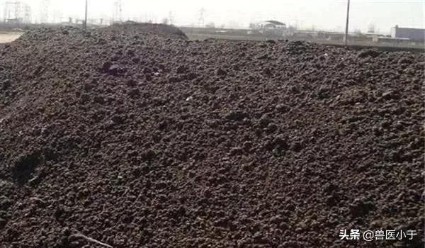 农村致富项目种植什么最赚钱,适合农村小型养殖的致富项目