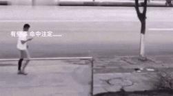 让人一看就能笑死的沙雕图片,史上最沙雕的100张图片