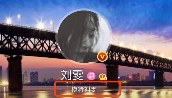 刘雯国际t台走秀视频,刘雯走t台视频