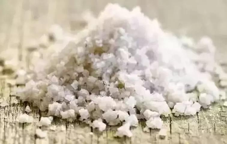 卤味都是现卤吗,卤起源卤味