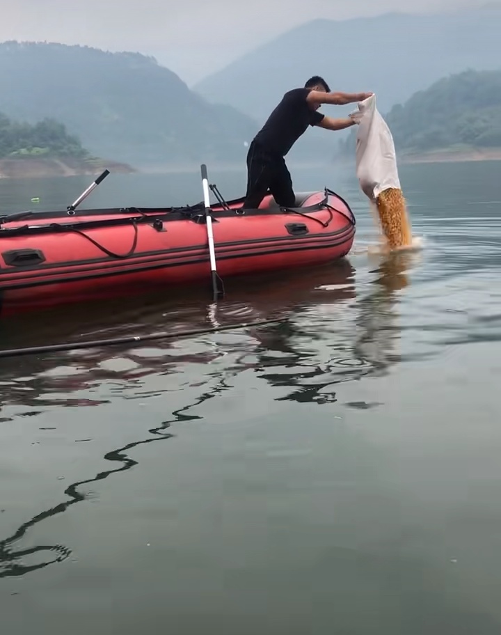 夜钓最佳上鱼时间秋季,初秋夜钓最佳上鱼时间