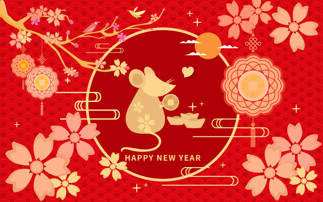 鼠年是mouse还是rat,老鼠rat和mouse的区别