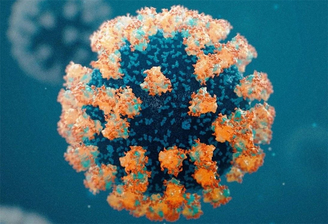 为什么蝙蝠会被称为毒王,毒王和蝙蝠谁更可怕