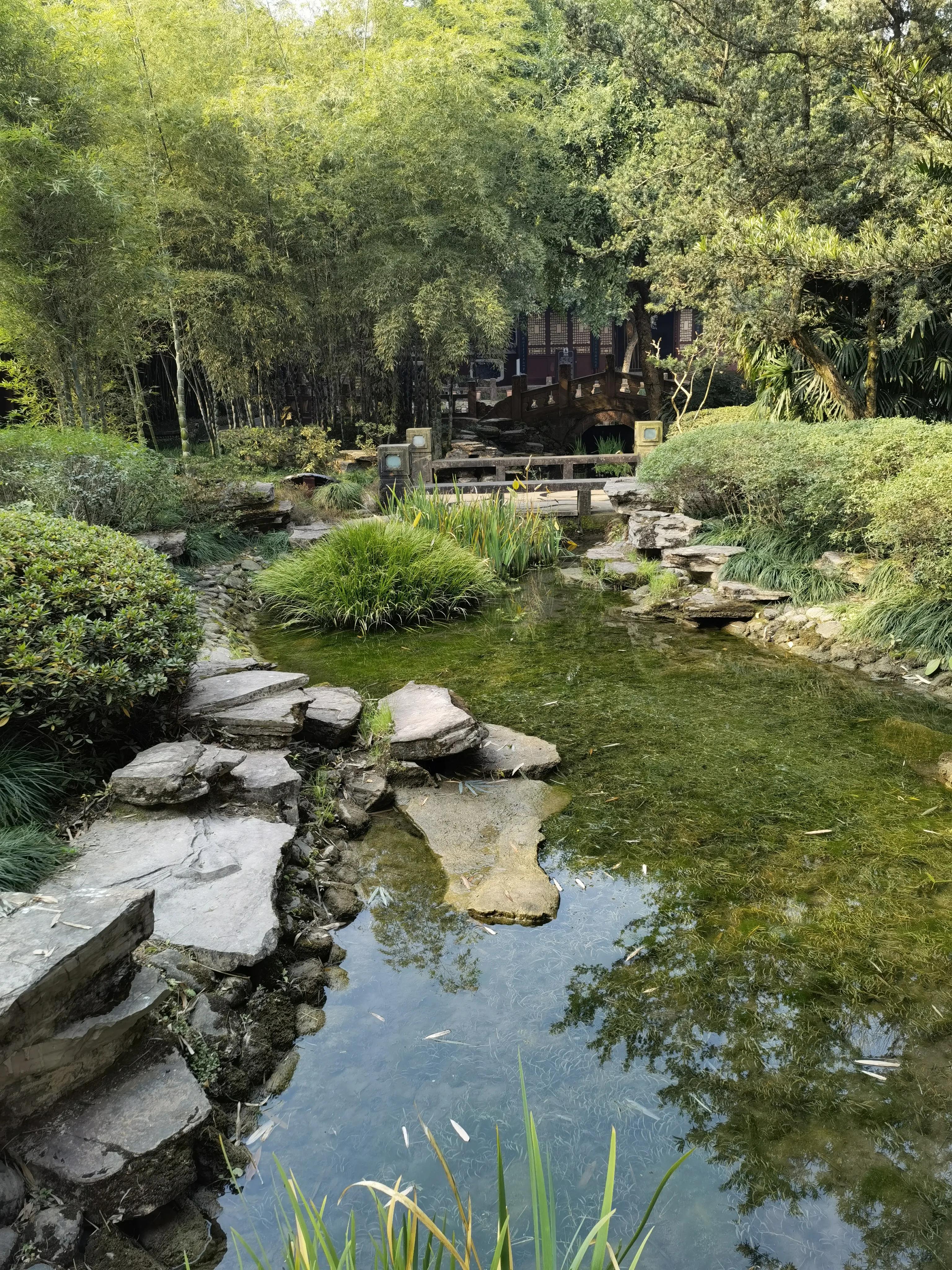 一分钟带你游遍全国,一分钟带你逛完公园