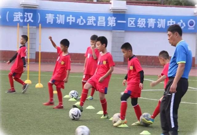 坚守教育初心当学生引路人,坚守教师初心做学生的引路人征文