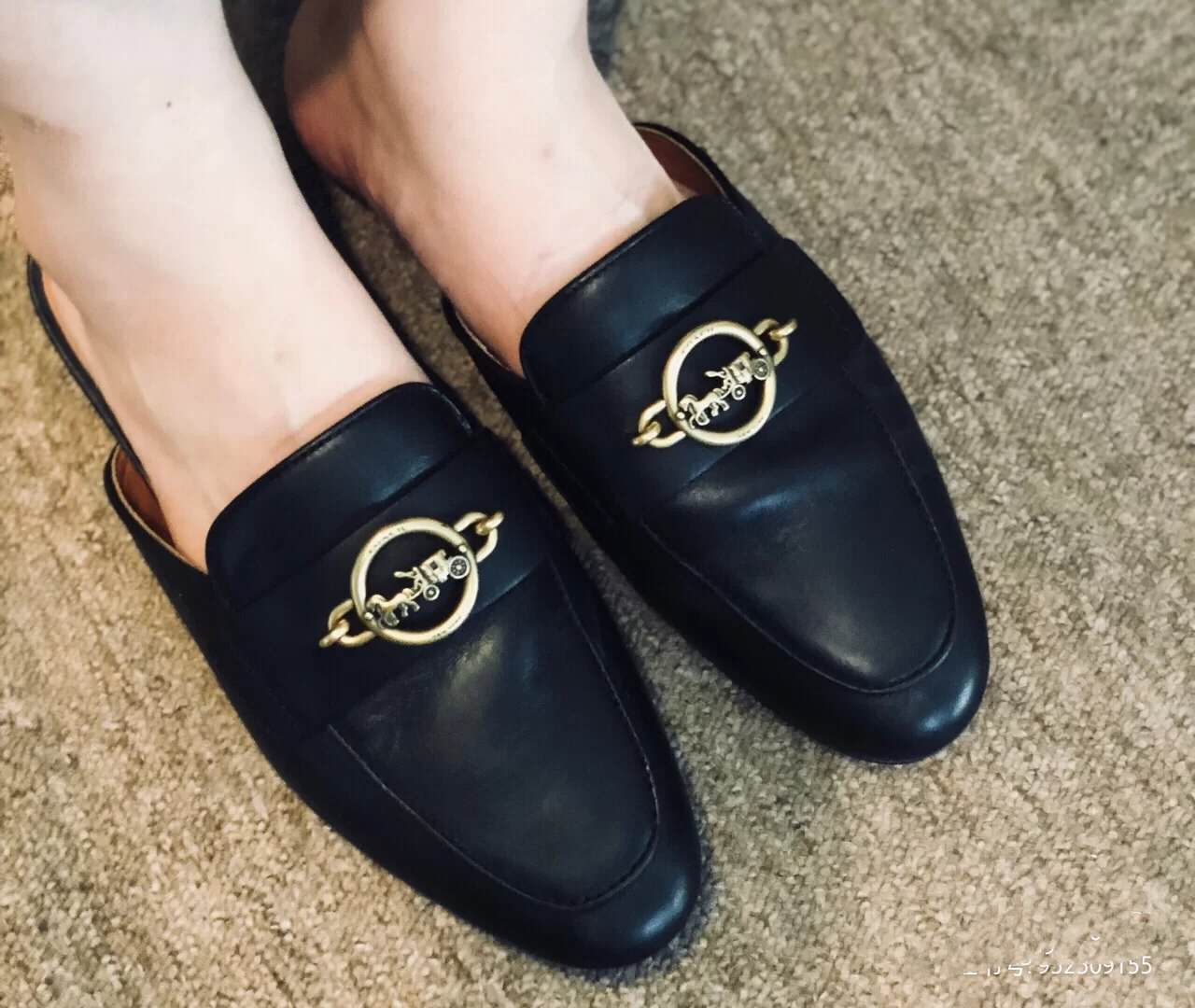 怎么看待蔻驰辱华事件,以往辱华的品牌名单