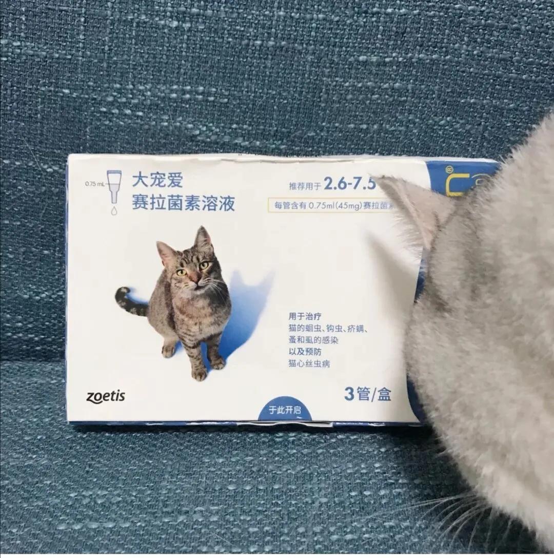 大宠爱是猫用的吗,大宠爱大规格