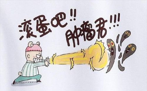 药食同源农产品,同源沙棘功效与作用