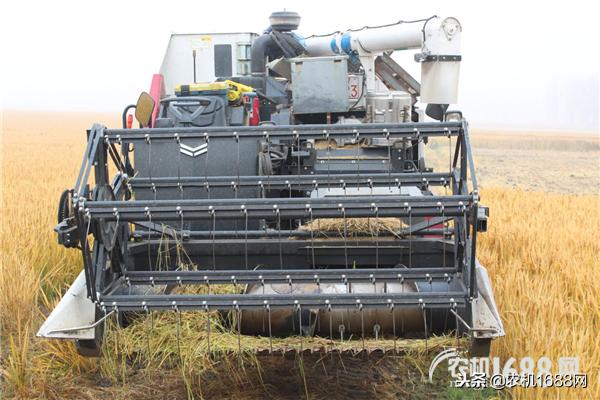 洋马收割机怎么跨省作业,洋马跨区联合收割机