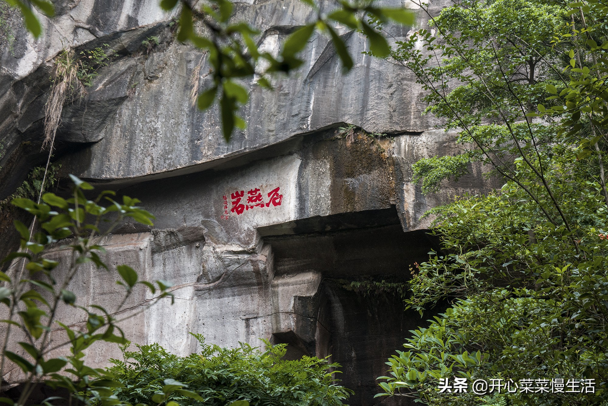 佛山10个必去打卡景点攻略,佛山最值得打卡的景点