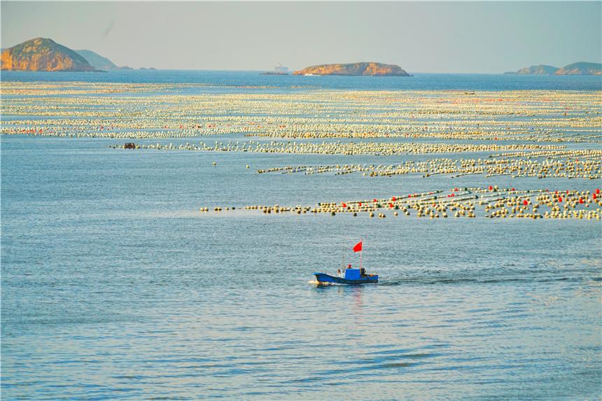 嵊泗旅游美食攻略,嵊泗攻略3天2夜美食推荐