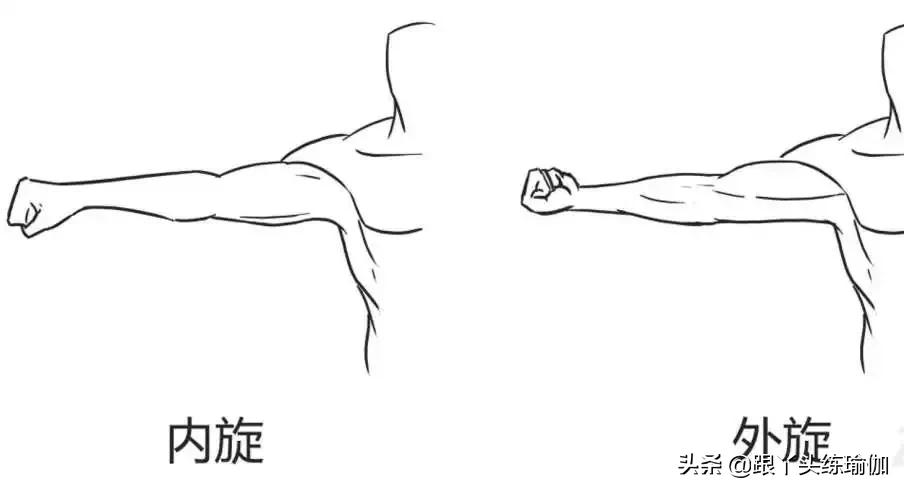 瑜伽口令中，傻傻的分不清“内旋”和“外旋”，丫头3分钟讲清楚