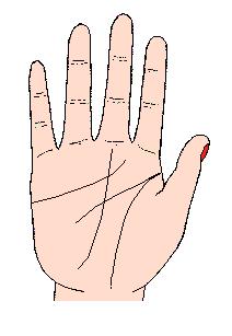 手相解密,手相掌纹分析学