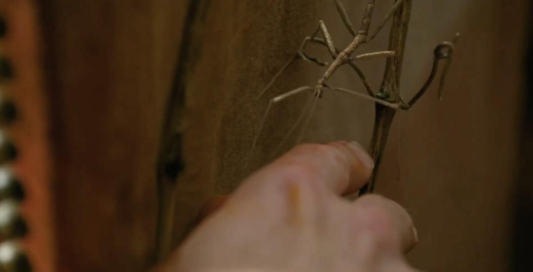 影院复业后你最想看哪部电影,带儿童去影院观看的电影推荐