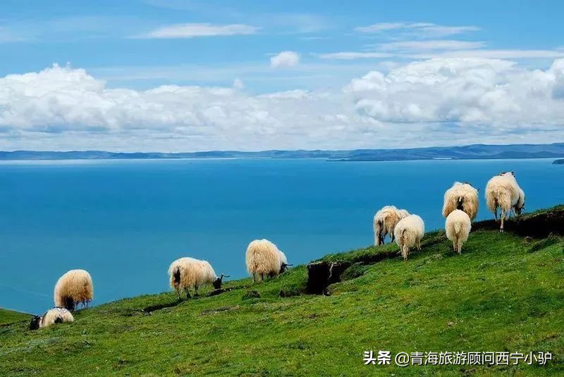 青海隐藏的秘密,青海发现美丽秘境全世界为之瞩目