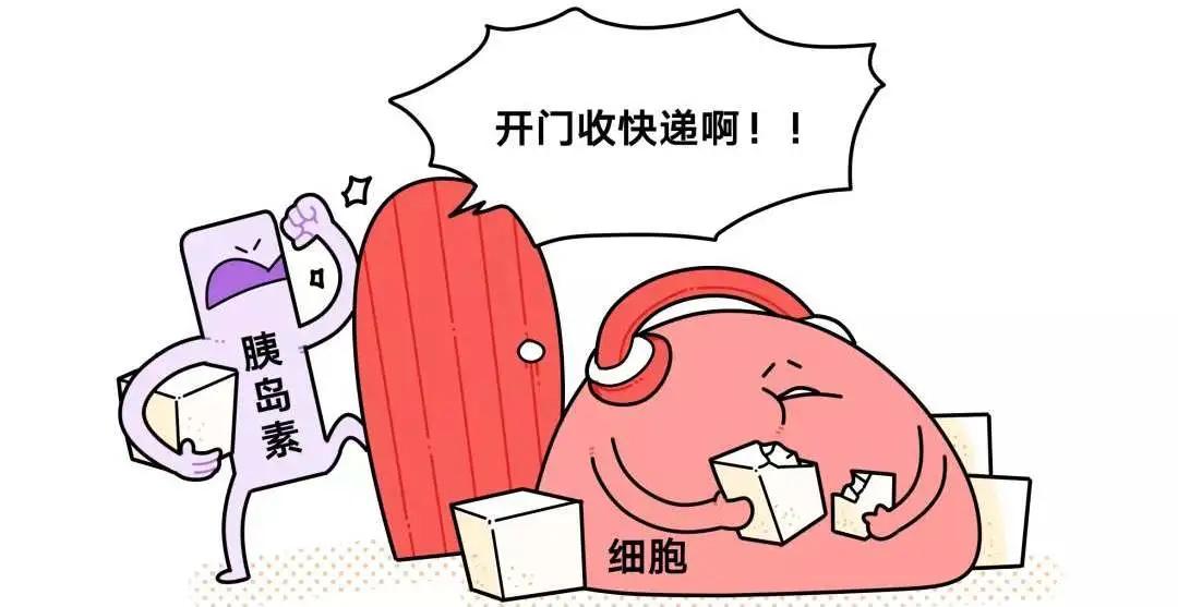 中午没吃午饭晚上低血糖了,中午低血糖