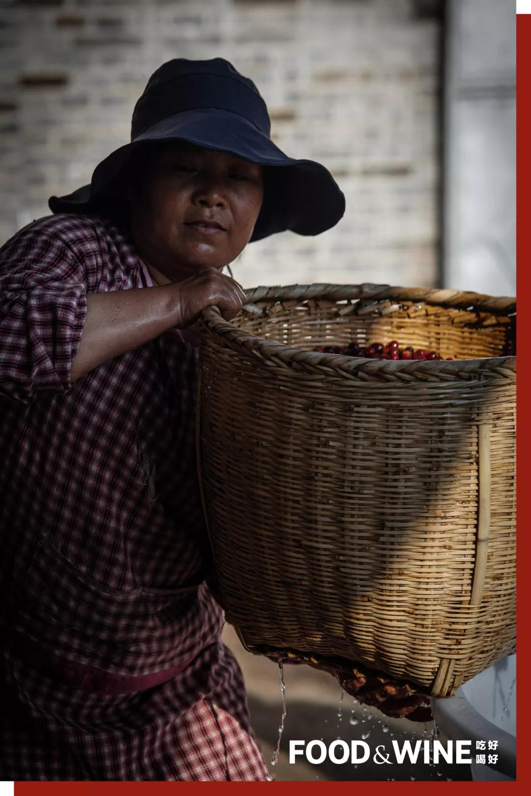 云南咖啡排名,云南咖啡十大品牌