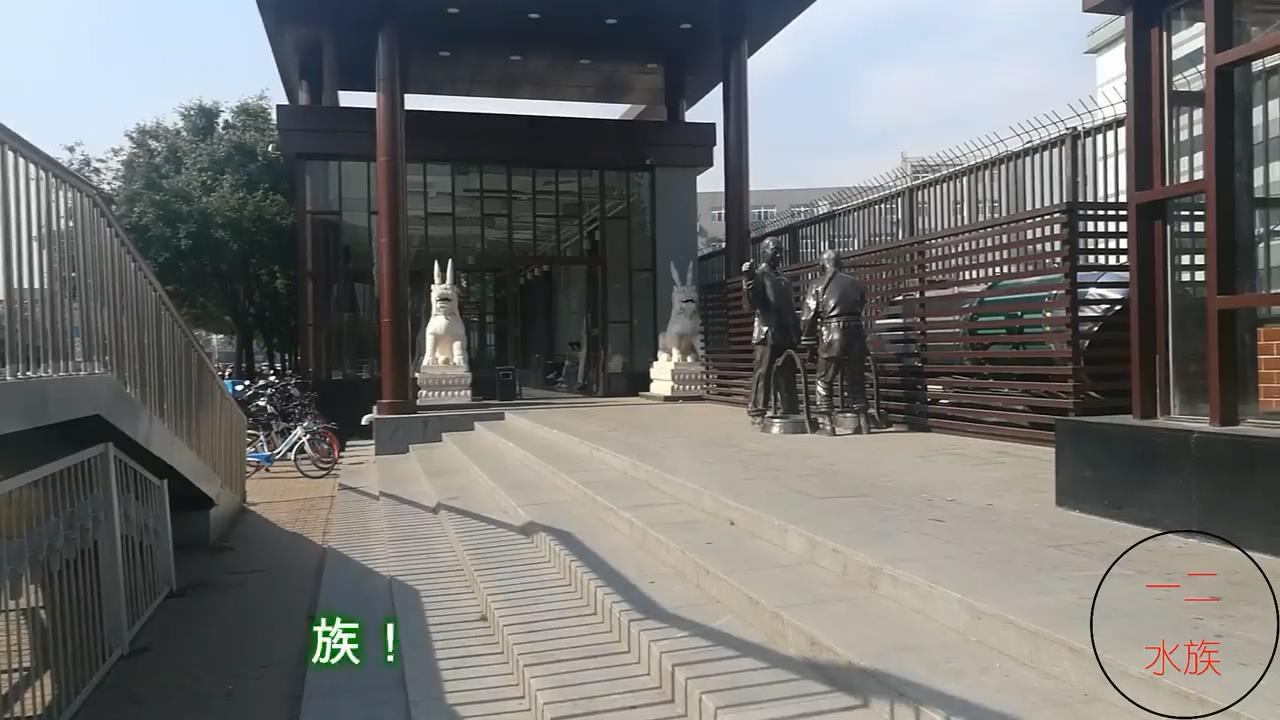 水族店经营技巧,如何让水族店生意越来越好