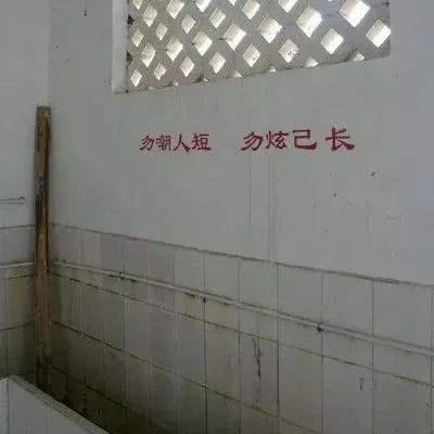 我突然有个大胆的想法表情包,我有一个大胆的想法表情包