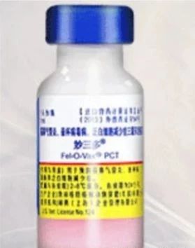 你得知道的那点事儿?猫咪常备药