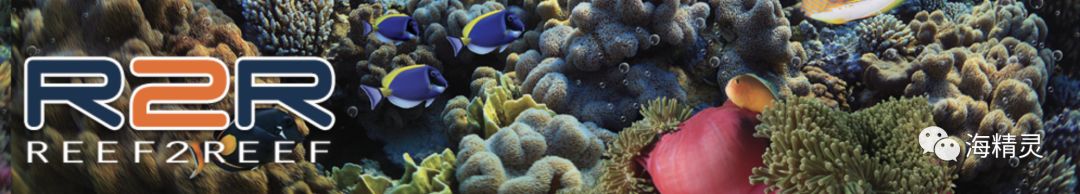 中国海水圈到底存在多少“奸商”？