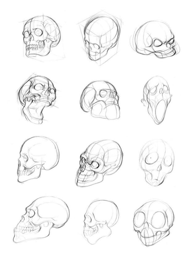 零基础人物脸的画法,人体五官细节该怎么画