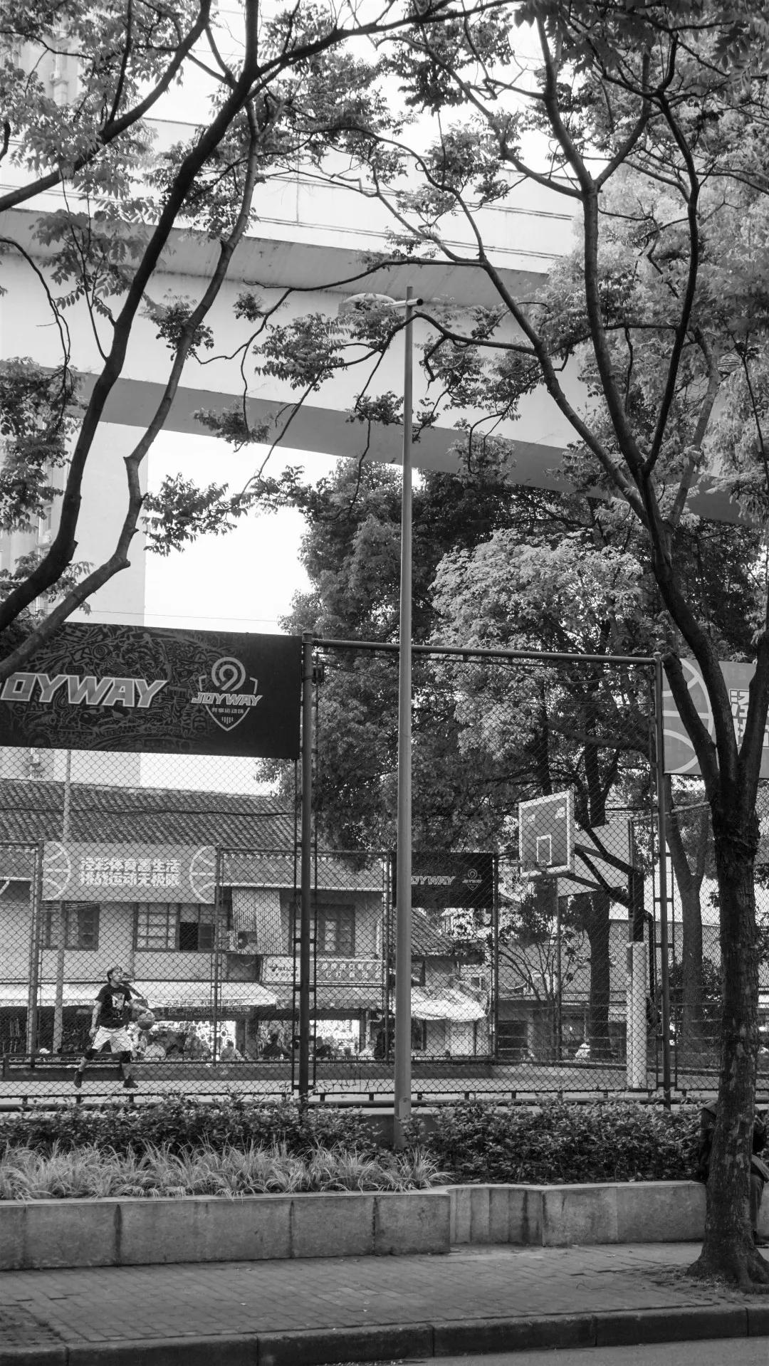 值得去看一看的风景,看一路的风景