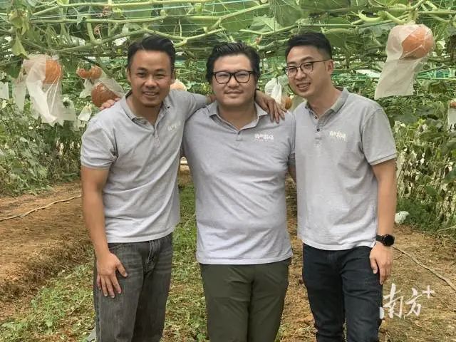 奋进粤港澳大湾区,奋进新征程筑梦大湾区