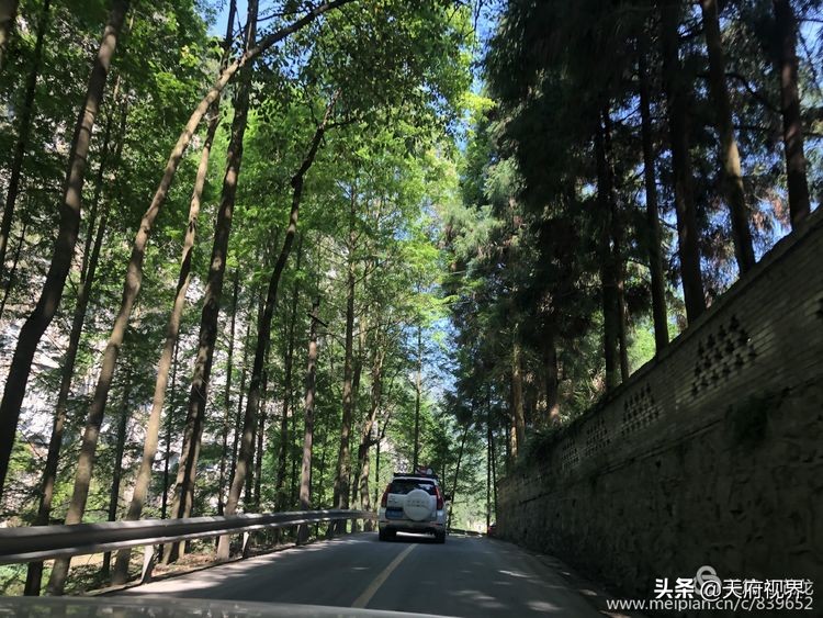 四川黑竹沟之谜,四川黑竹沟探险之旅