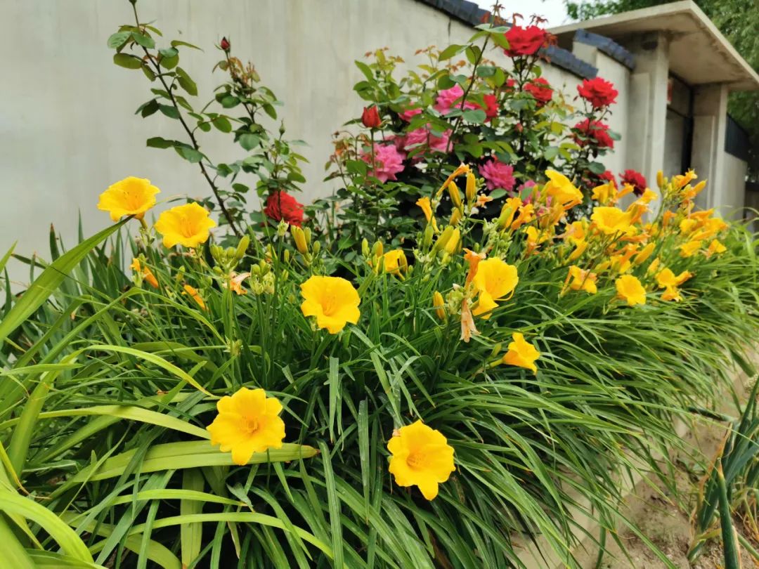 营口市鲅鱼圈旅游攻略,营口渔村旅游攻略