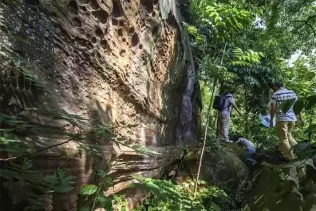 再过2天!仁寿森林音乐节来了,桐子花开满山头,粉白若雪!