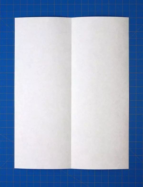 折纸带盖的纸飞机,折纸飞机载客人