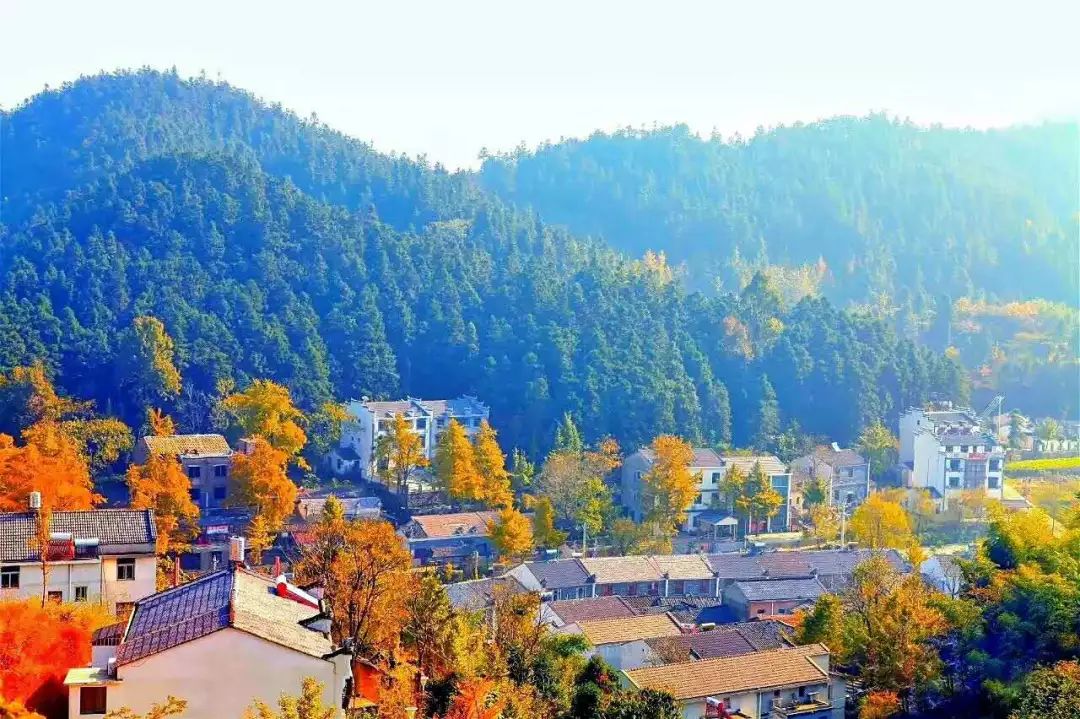 秋天赏枫叶好去处,赏红叶正当时