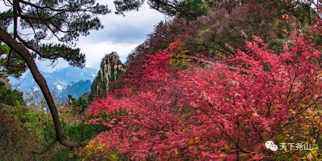尧山红叶节免费门票,尧山景区每星期三免门票