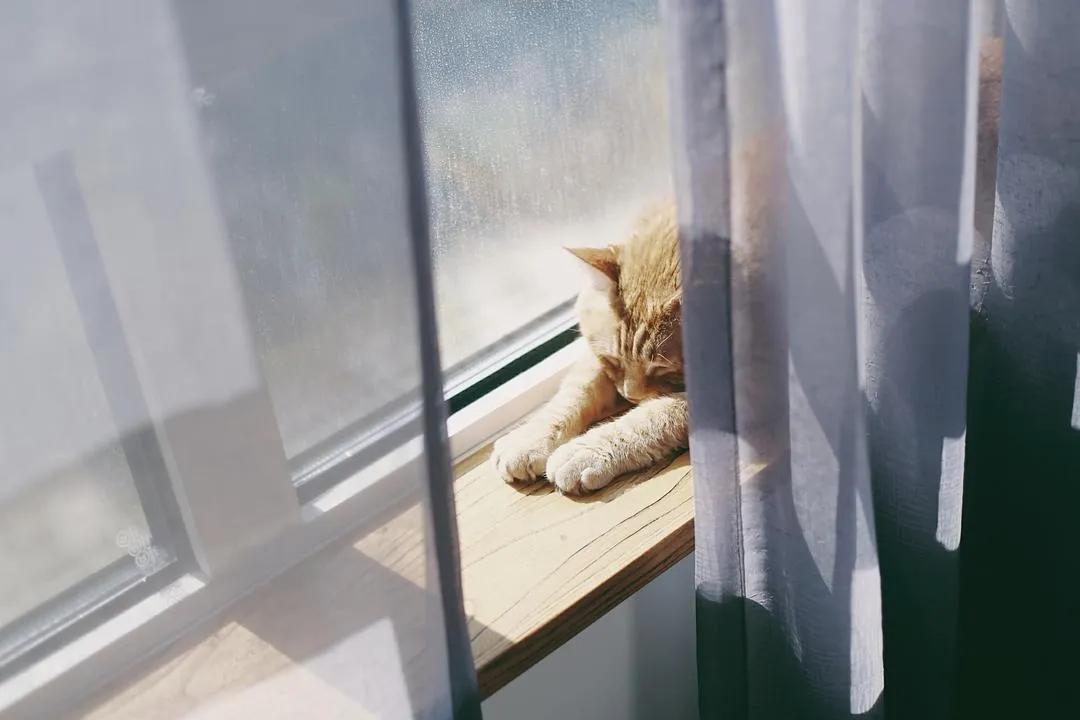 日式榻榻米茶室禅意设计,书房茶室一体多功能房榻榻米